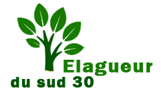 elagage-elagueur-du-sud